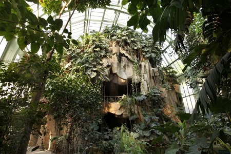 Photo du jardin des plantes