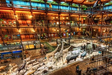 Photo du musée national hitoire naturelle