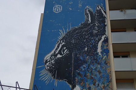 photo de la fresque de street art prise à Paris 13e de C215, intitulée : Chat