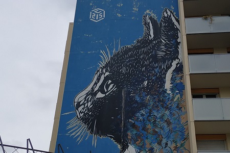 photo of the street art fresco in Paris 13 by C215, entitled: Cat
