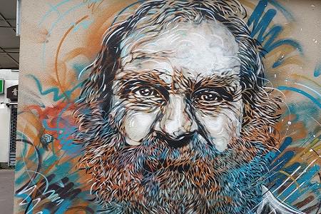 photo de la fresque de street art prise à Paris 13e de C215, intitulée : Le barbu