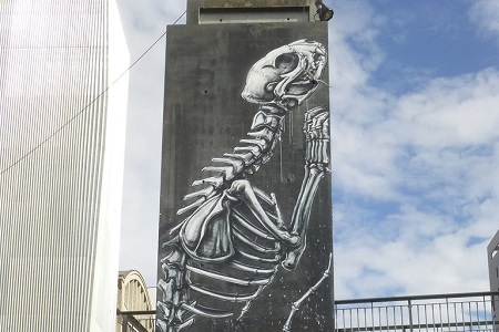 photo de la fresque de street art de Roa, intitulée : squelette animalier