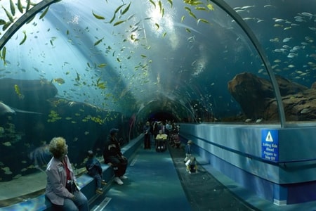 Photoaquarim de Paris
