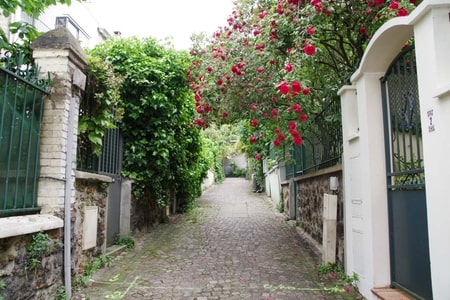 photo de la campagne à Paris