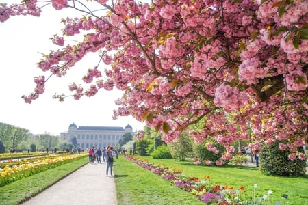 photo du jardin des plantes