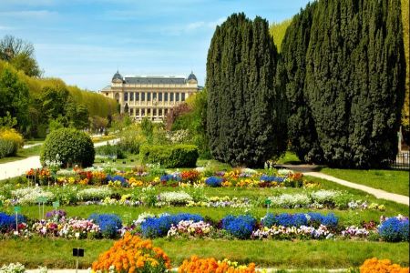 Photo du jardin des plantes