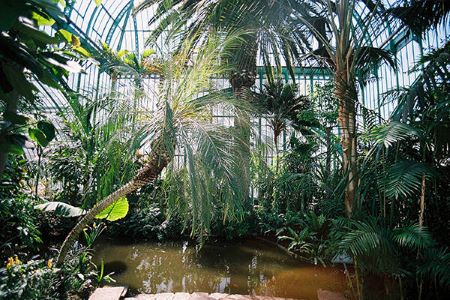 Photo du jardin des serres Auteuil