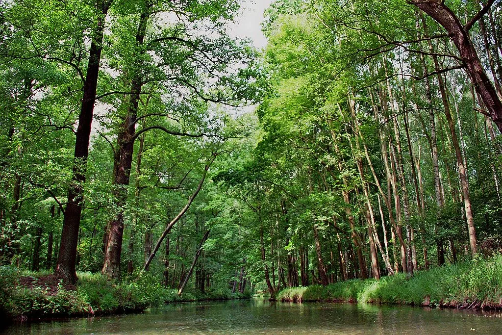 Spreewald