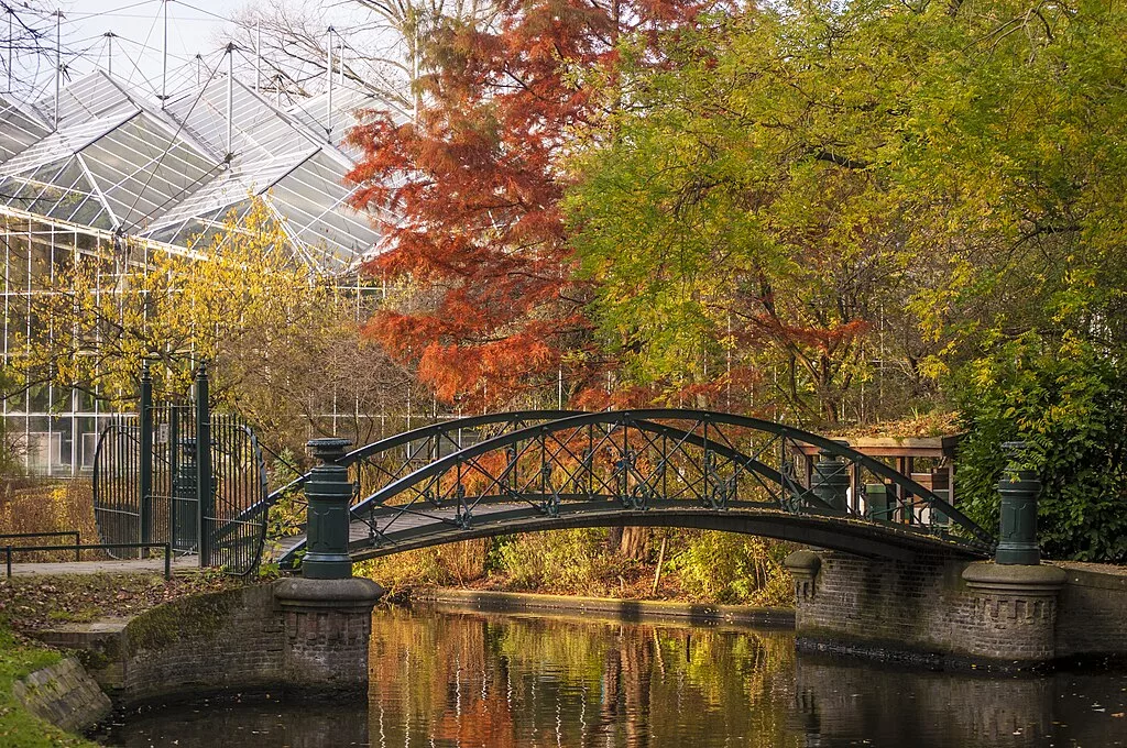 Le jardin botanique Hortus à Amsterdam