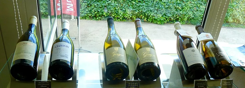 Bouteilles de Muscadet