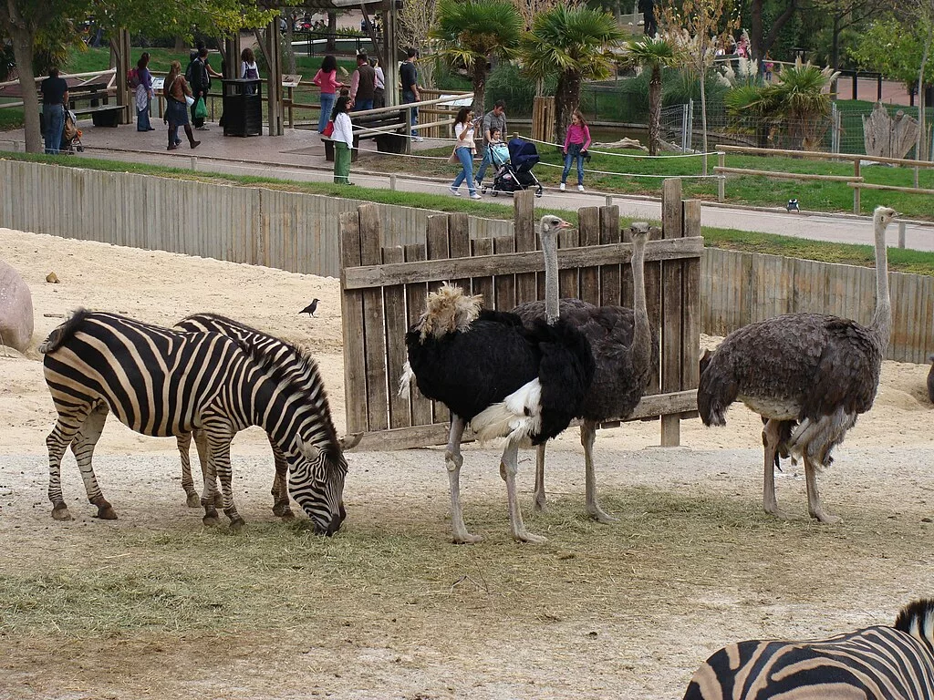 Le Zoo de Madrid