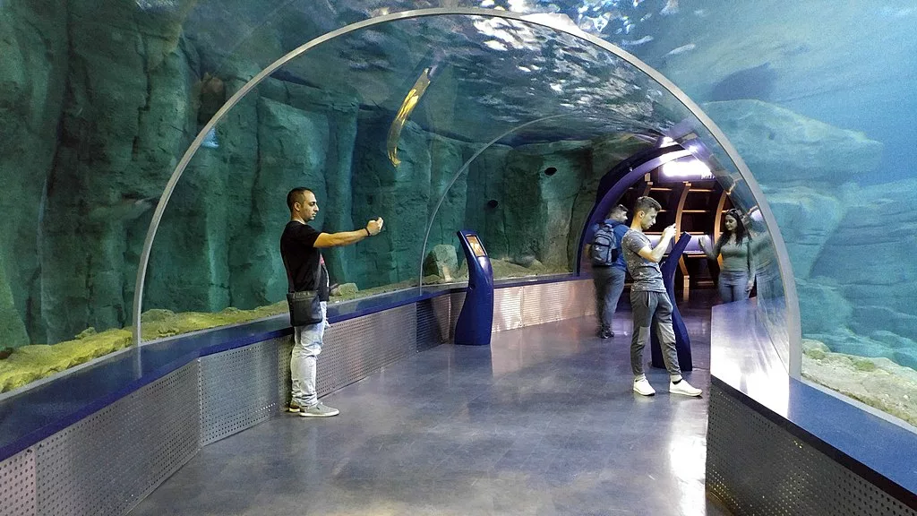Visiter l’Aquarium d’Istanbul