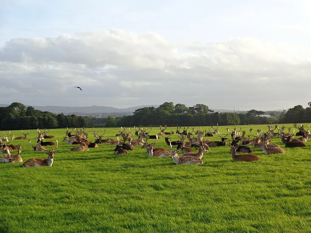 Phoenix Park