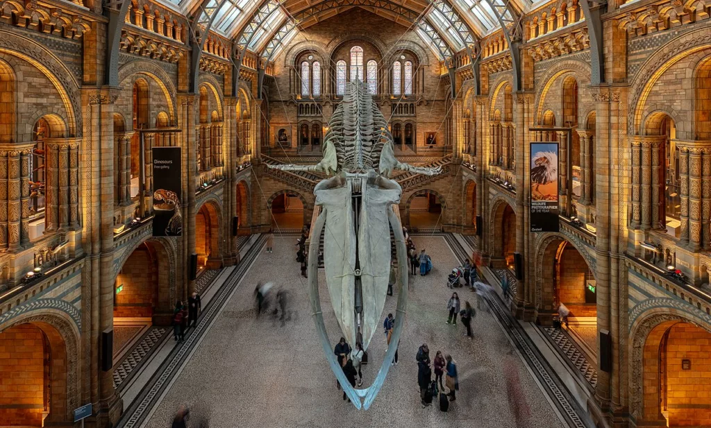 Le Natural History Museum