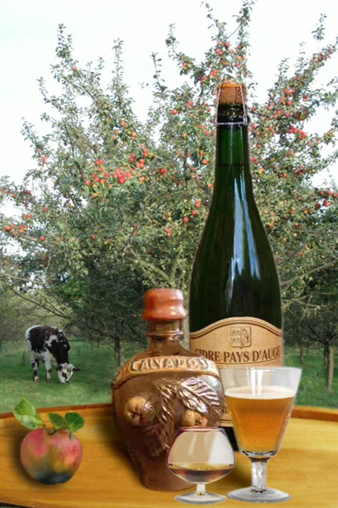 Cidre et Calvados