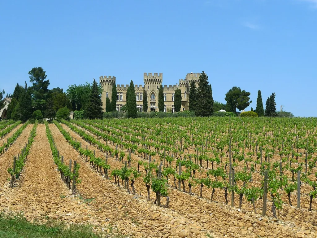Vignoble