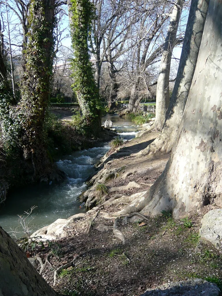 Promenade de la Torse