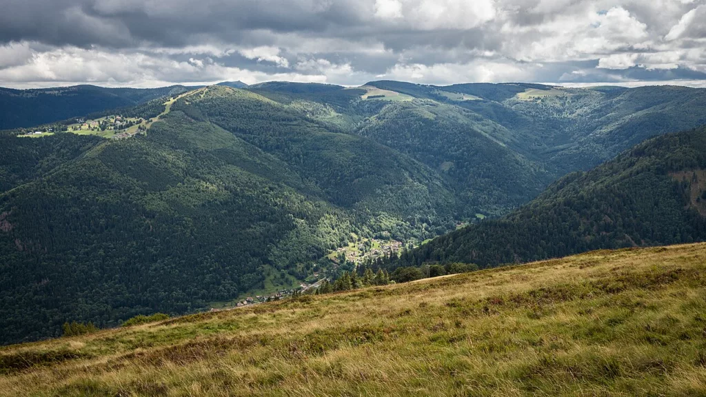 Vosges Mountains