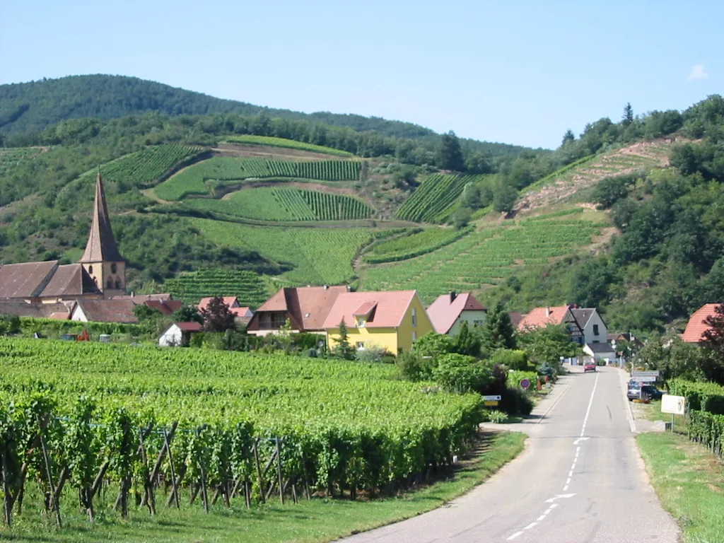 Alsace Wine Route
