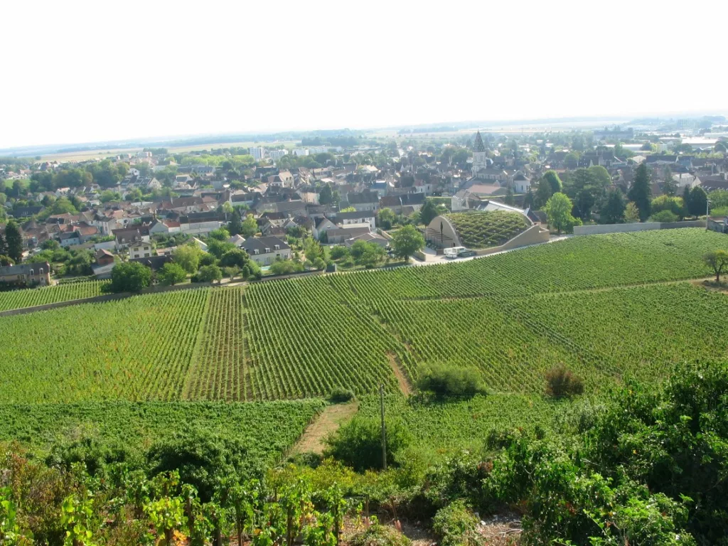 Vignoble Nuits Saint-Georges