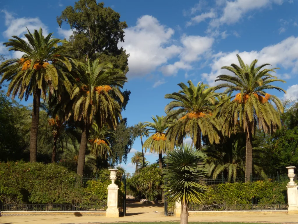 Les Jardins de Murillo